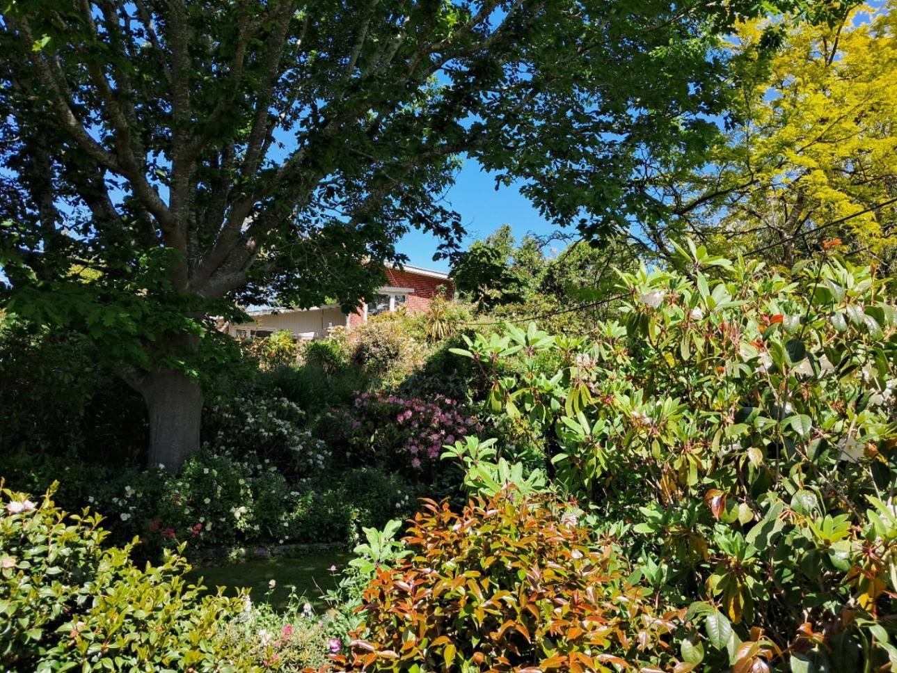 Niloc Bed & Breakfast Waimate Exterior photo